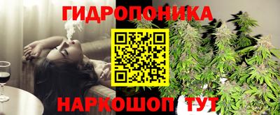 стаф Усть-Илимск
