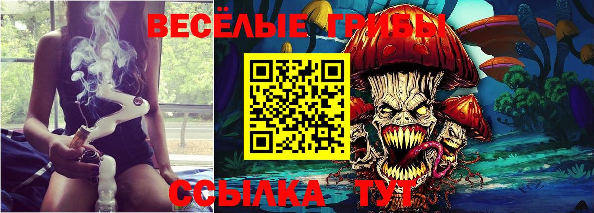 Псилоцибиновые грибы ЛСД  Вход с VPN  Псилоцибиновые грибы Magic Shrooms  Асино 